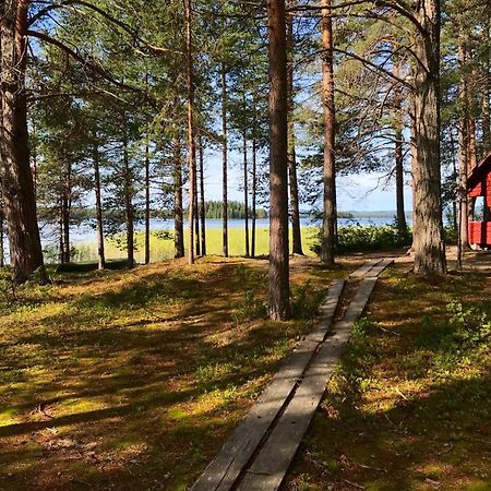 Luontohotelli Sapson Helmi Sotkamo Eksteriør bilde