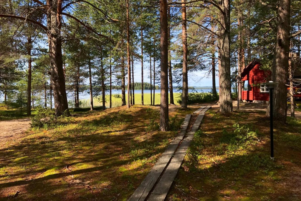 Luontohotelli Sapson Helmi Sotkamo Eksteriør bilde